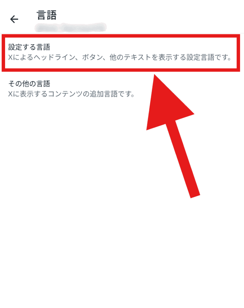 X(Twitter)　表示言語