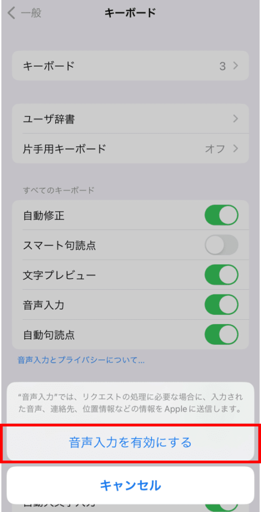 「音声入力を有効にする」を押す