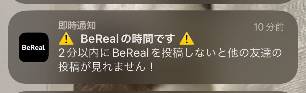 bereal ビーリアル　ビリール