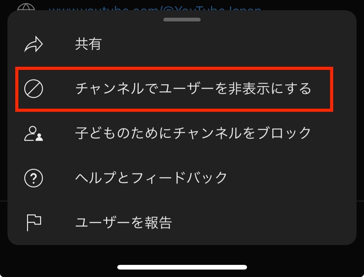 youtube 一時停止 その他の動画 非表示 安い