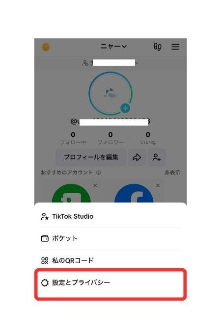 TikTok　プロフィール閲覧