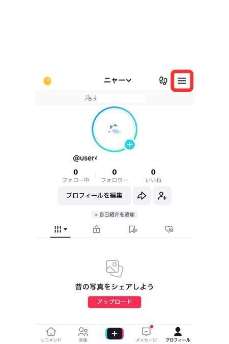 TikTok　プロフィール閲覧