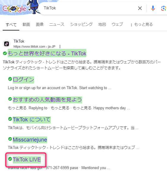 TikTok_Google検索結果